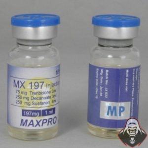 MX 197 (Max Pro) 197mg/ml 10ml -33% emballage du médicament