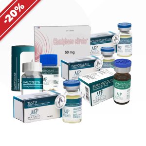 Un cours de séchage et de sculpture pour les professionnels emballage du médicament