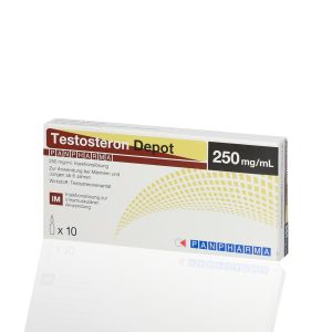 Testosteron Depot 250 mg Panpharma emballage du médicament