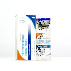 Testoged E 250 mg Euro Prime Farmaceuticals emballage du médicament