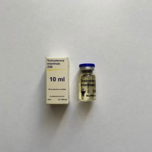 Testosterone Enanthate 250 mg Moldavian Pharma emballage du médicament