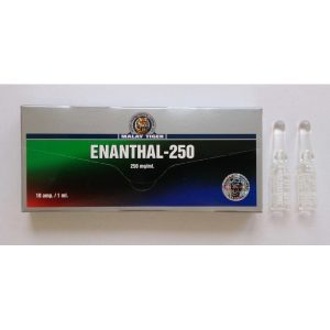 MT Énanthate 250mg/amp emballage du médicament