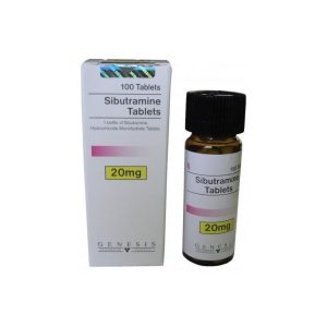 Comprimés de sibutramine 20 mg (100 comprimés) emballage du médicament