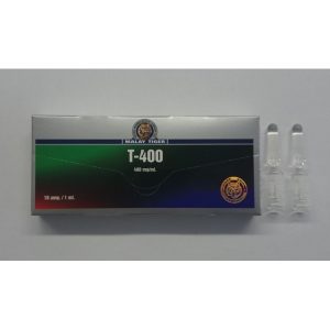 T4 MT 400mg/amp emballage du médicament