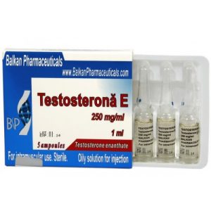 Testostérone E 250mg/amp emballage du médicament