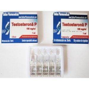 Testostérone P 100mg/amp emballage du médicament