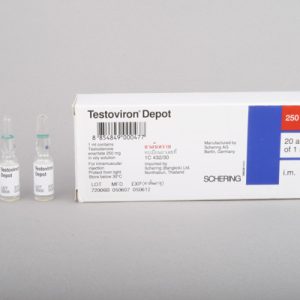 Testoviron Dépôt 250mg/amp emballage du médicament