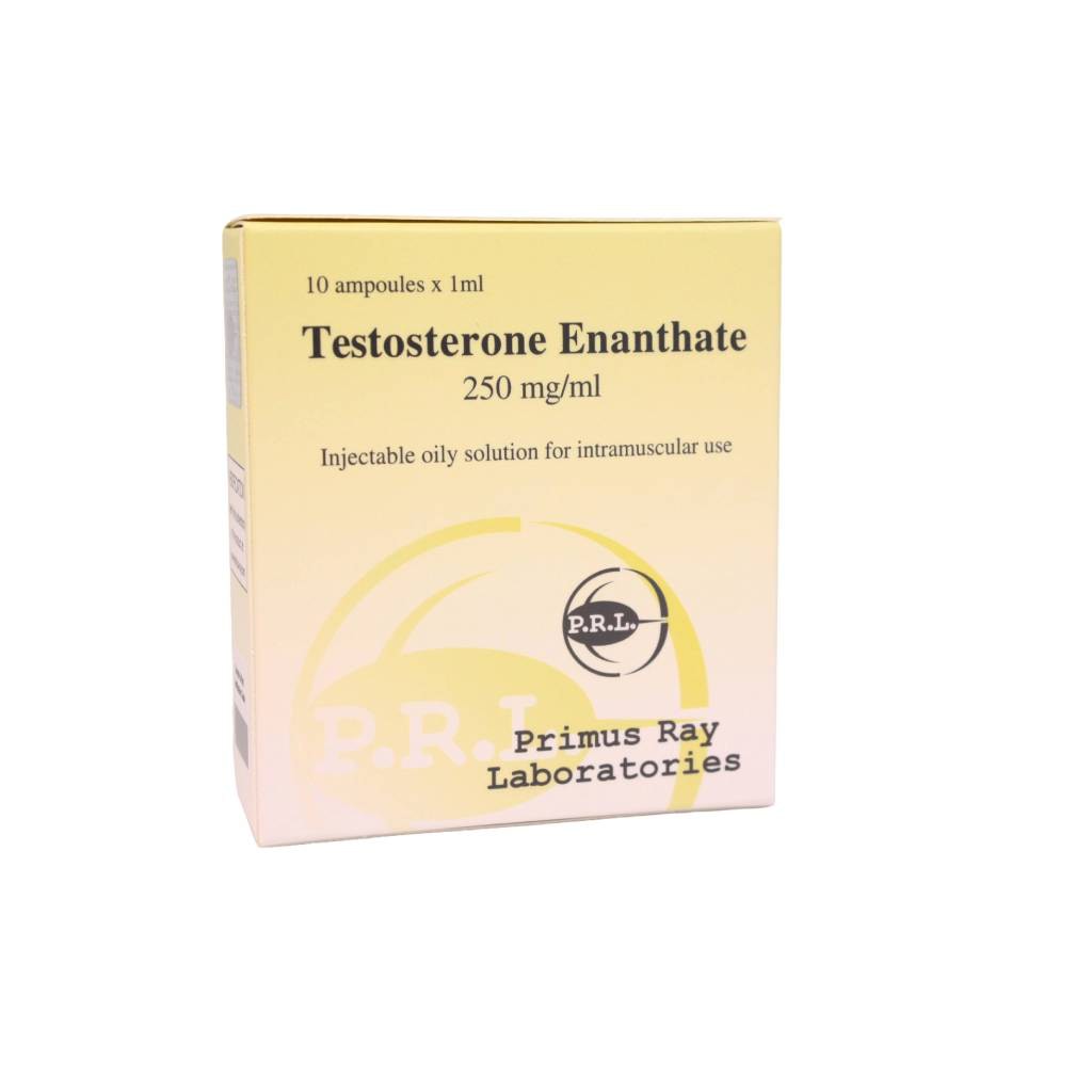 Testosterone Enanthate 250 mg Primus Ray Laboratories emballage du médicament